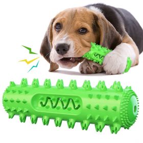 Toothbrush Buoyant Squeaky Chew Toy, Bite-Resistant, Food-Grade Rubber (Color: Green)