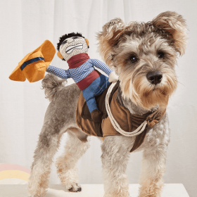Cowboy Rider Pet Costume For Small/Medium Dogs (Color: Mixed Color, size: S)