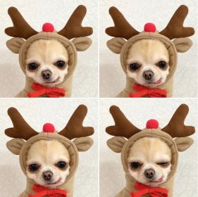 Reindeer Hooded Sweater Costume For Small Dog (Color: Coffee, size: L)
