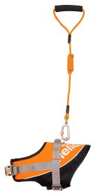 2-in-1 Adjustable, Reflective, Leash and Harness (size: large)